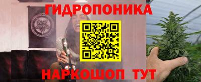 ECSTASY Заволжье