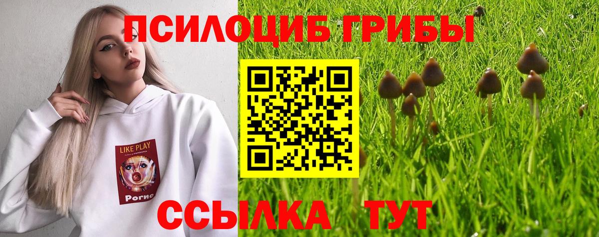 Псилоцибиновые грибы прущие грибы Миасс